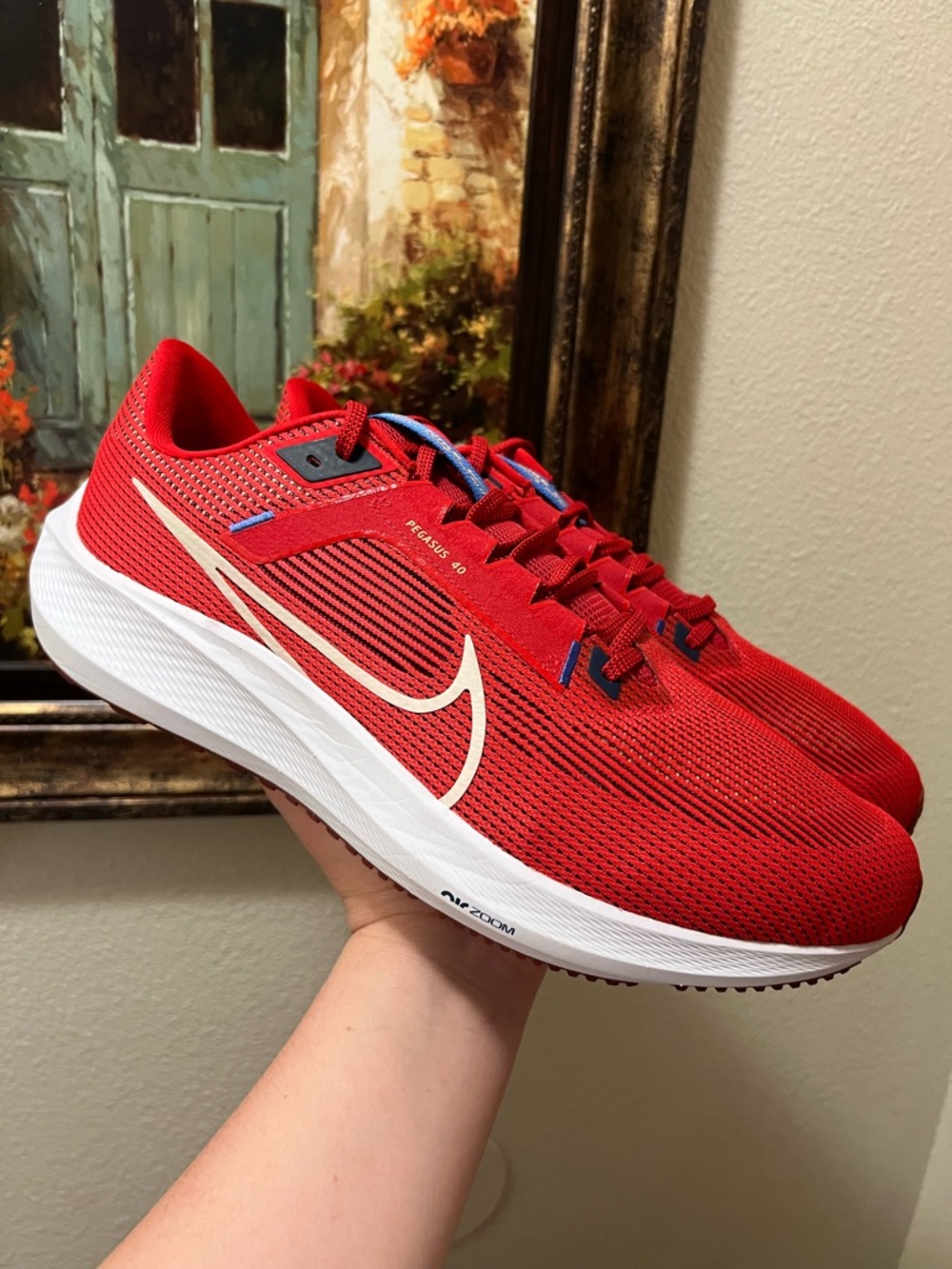 Nike Air Zoom Pegasus 40 Extra Wide University Red runing shoes